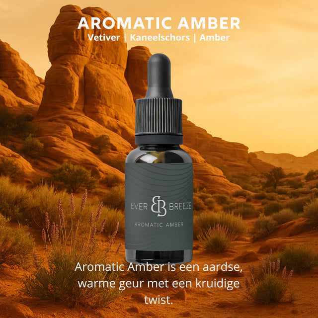 Autoparfém – Aromatic Amber