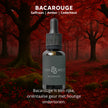 Autoparfém – Bacarouge